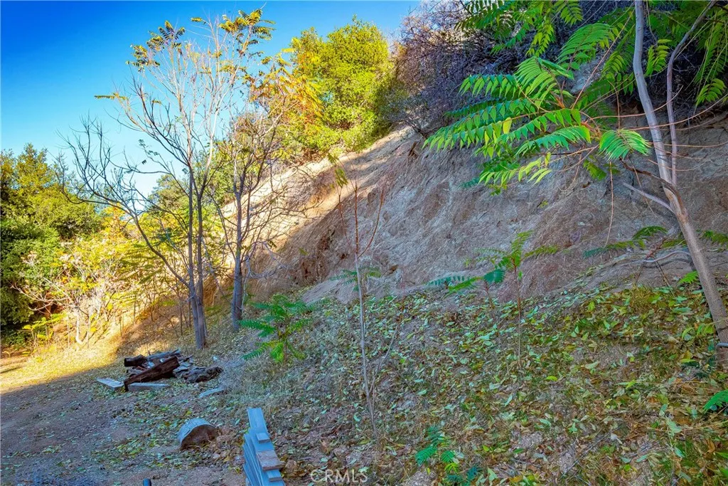 39100 Calle Essencial, Green Valley, California 91390 home-pic-34